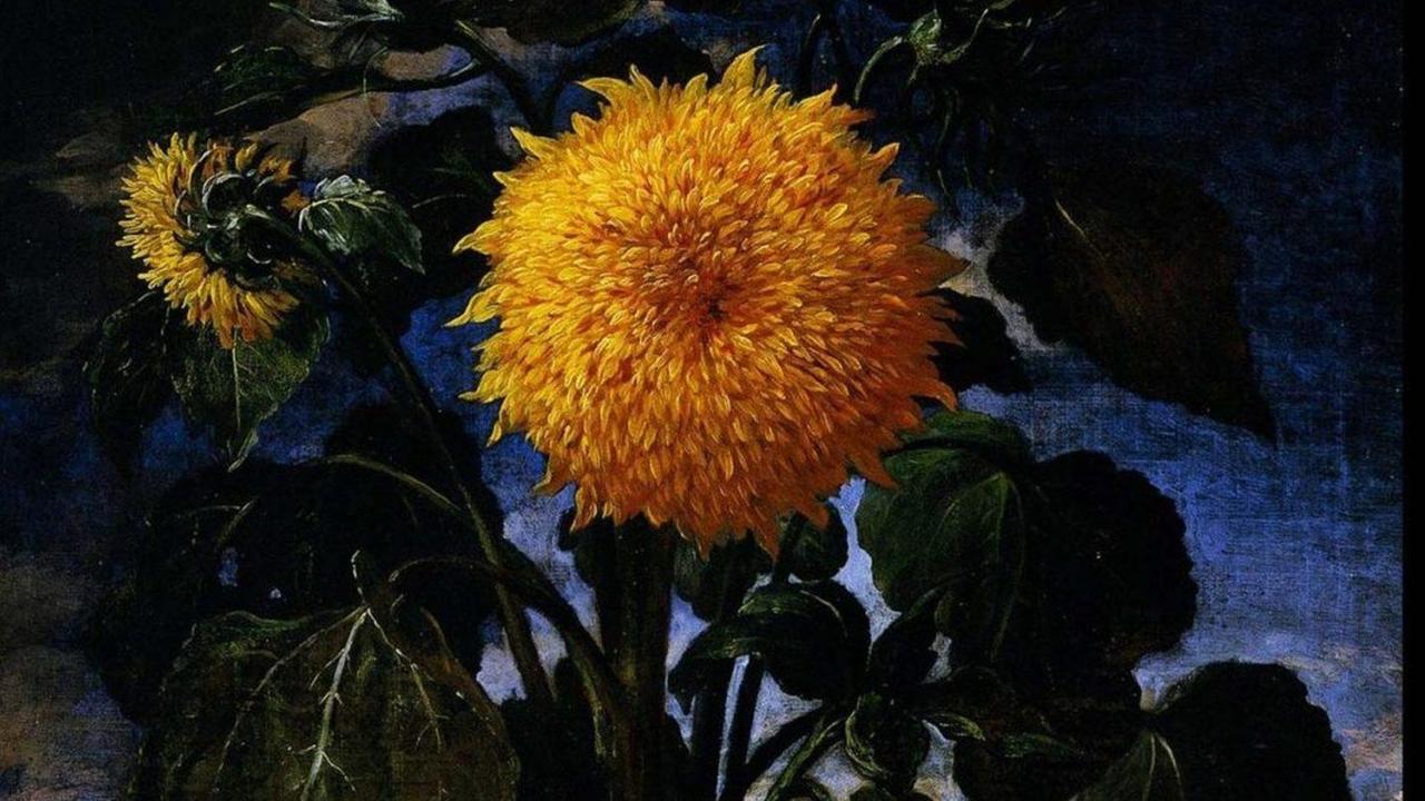 Foto e condivisioni dei fiori dei musei