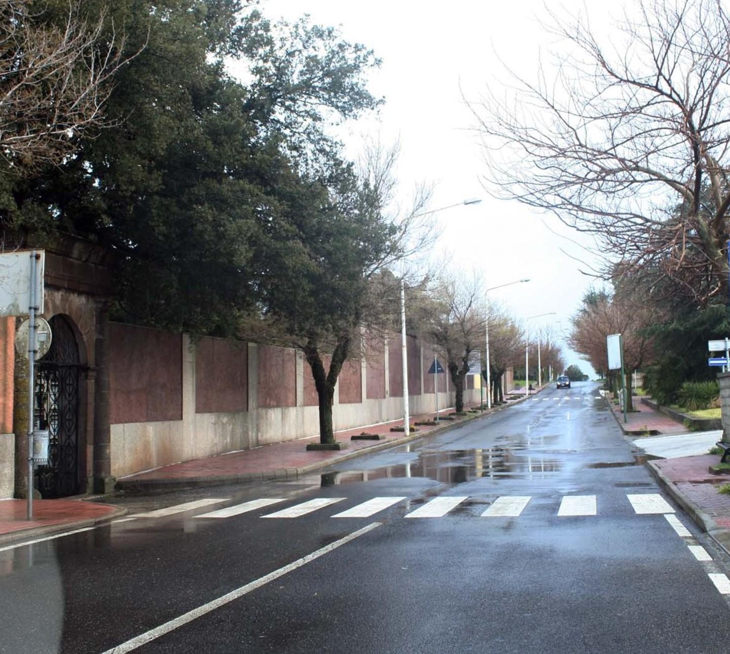 Macomer, cani avvelenati nel rione di Santa Maria 