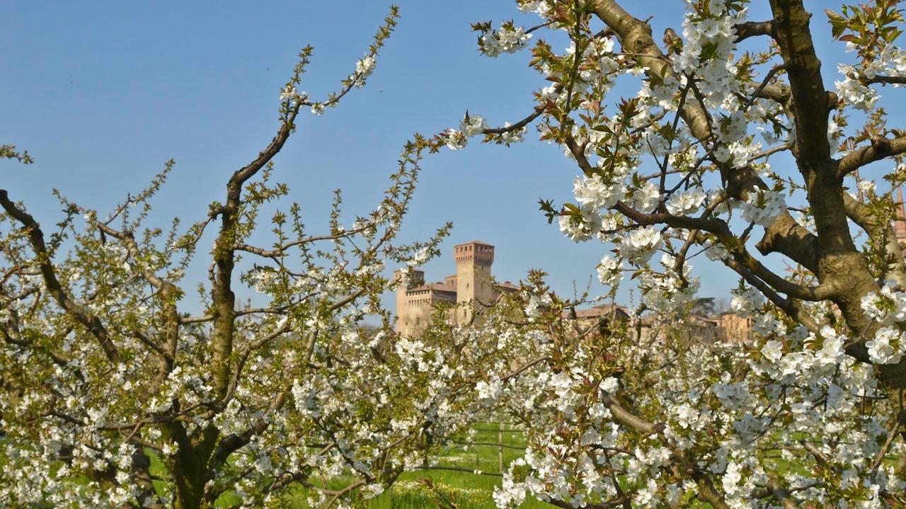 Vignola, i fiori della Primavera