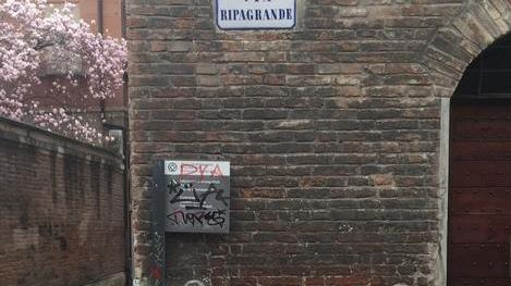 Comune, richiamo a Hera: «Più passaggi per i cestini»