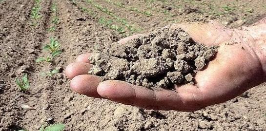Assicurazione agevolata contro le avversità climatiche