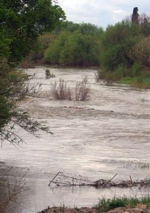 C’è il sì al progetto: un potabilizzatore per le acque del Tirso 
