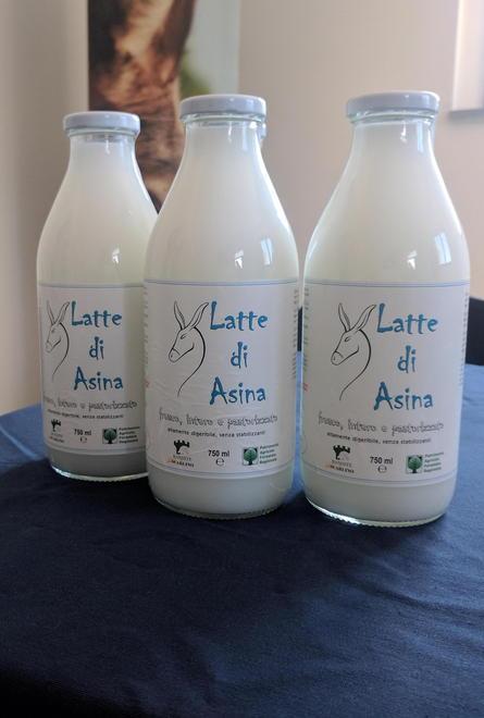 Il latte d’asina pronto a sbarcare sul mercato toscano