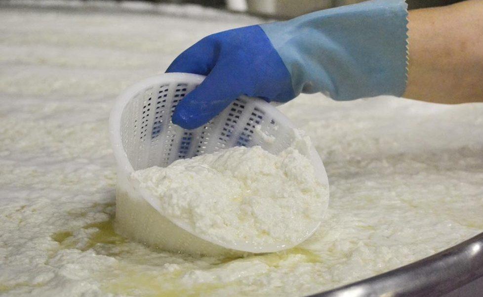 Ricotta, magra (non sempre) 