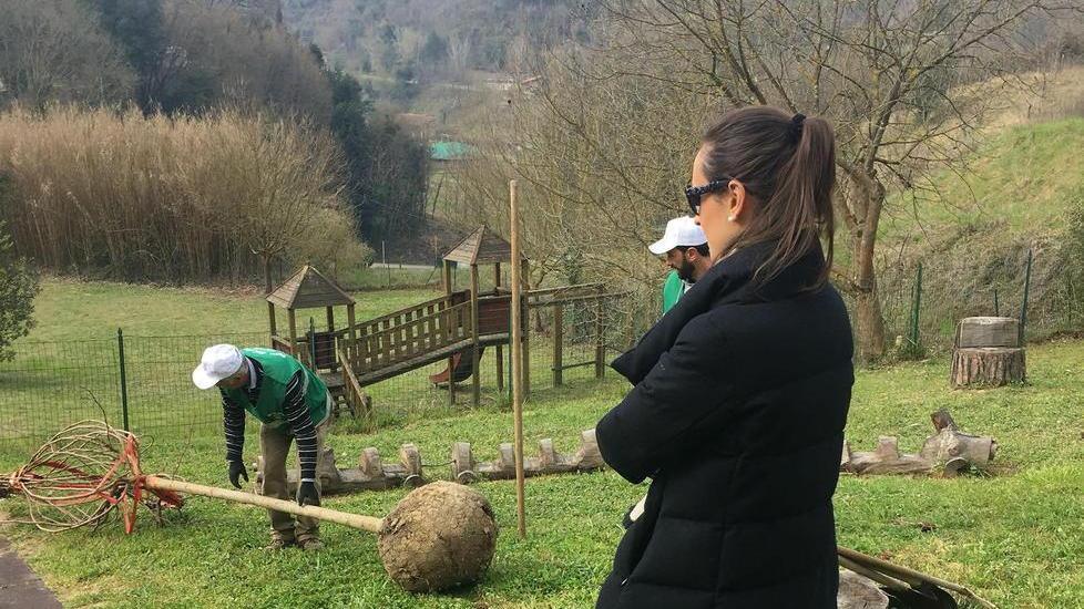 Rotaract San Miniato dona due alberi all’asilo di Stibbio