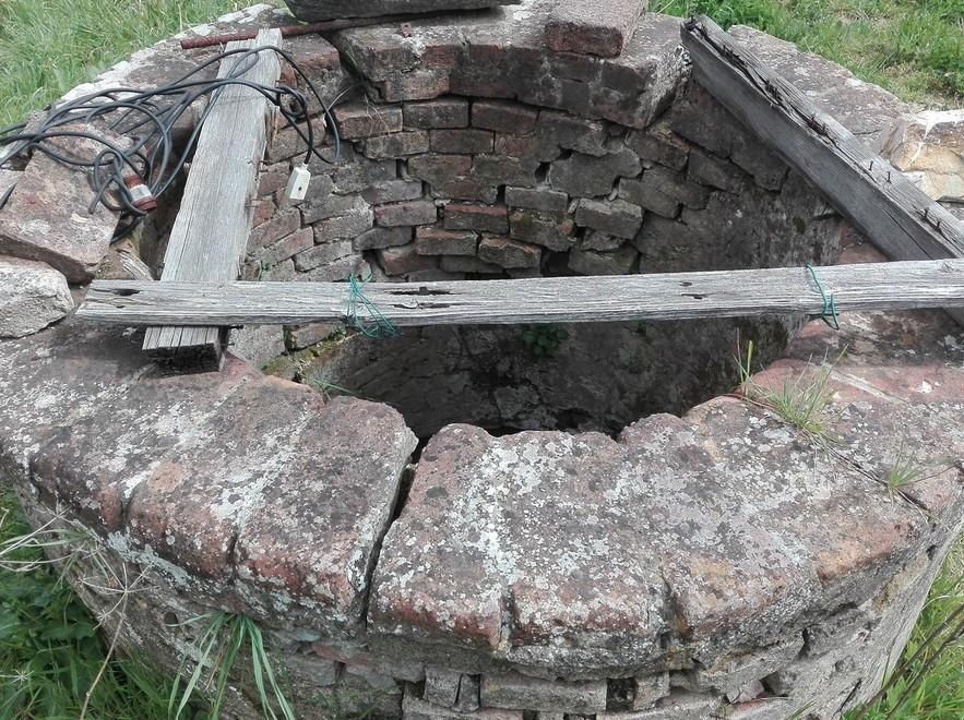 Gatta trovata morta nel pozzo aperto «Rischi per i bimbi»