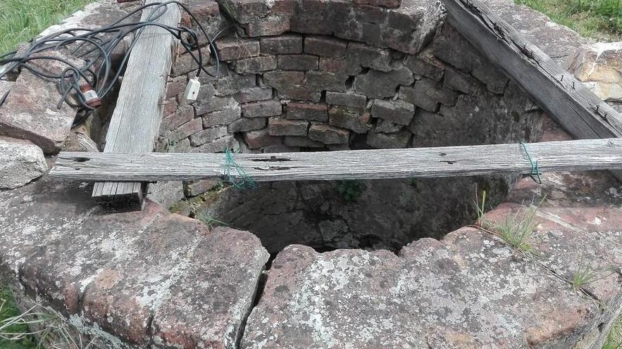 Gatta trovata morta nel pozzo aperto «Rischi per i bimbi»