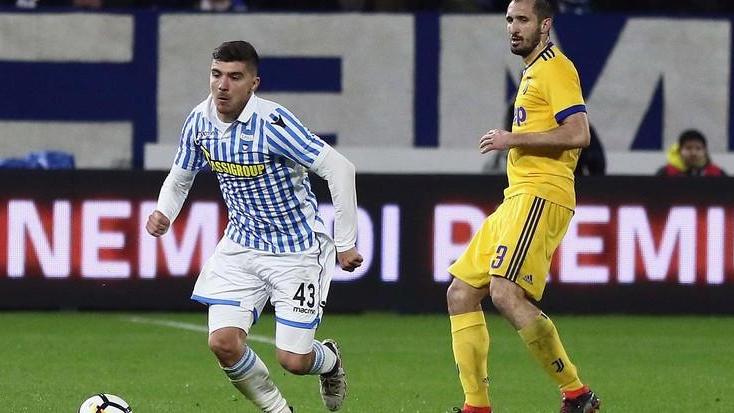 La Spal punta sulla legge degli ex