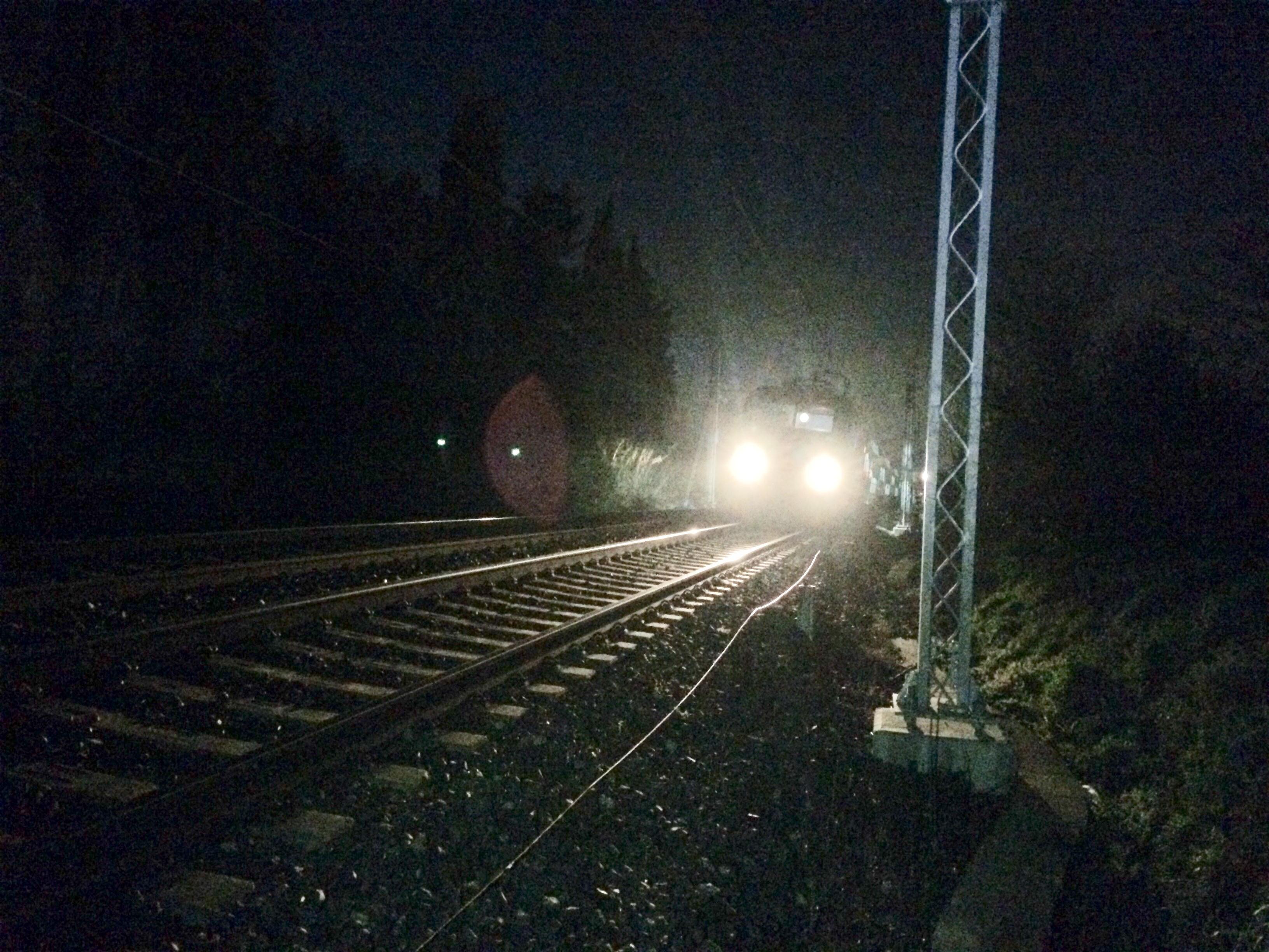 Il treno regionale fermo sui binari all'altezza di San Pietro in Palazzi (foto Falorni/Silvi)