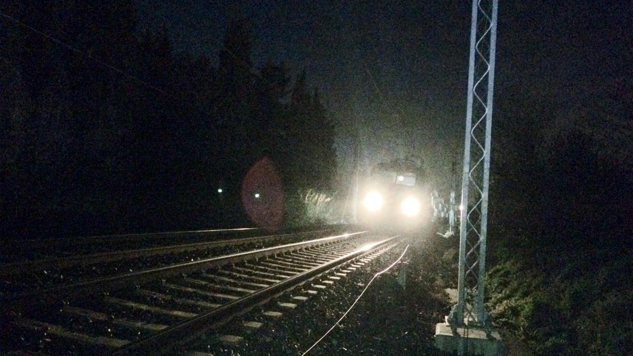 Il treno regionale fermo sui binari all'altezza di San Pietro in Palazzi (foto Falorni/Silvi)