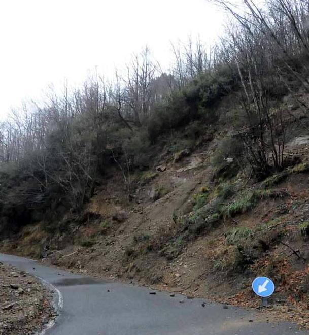 Cadavere nel bosco, s’indaga sui vestiti 