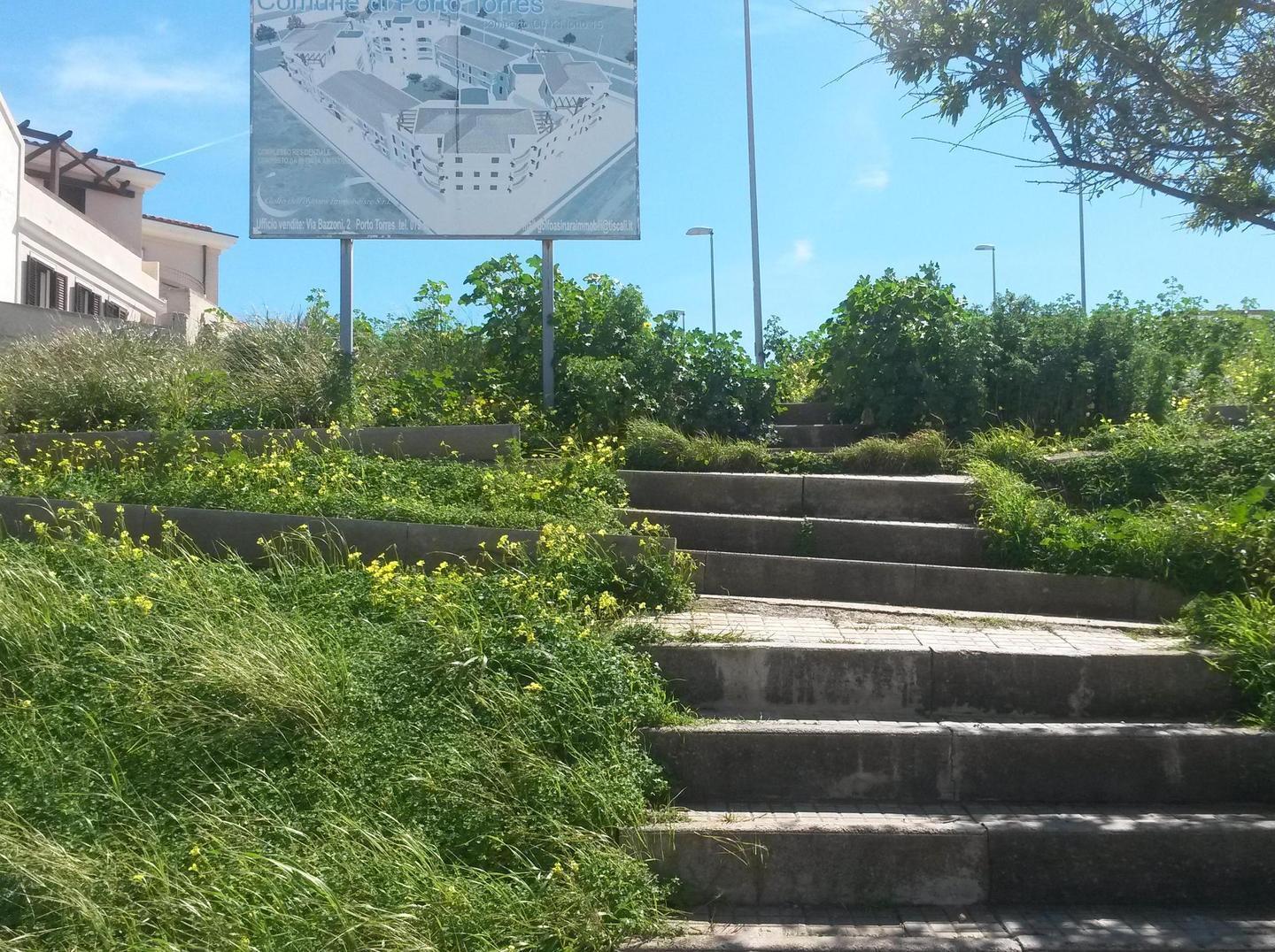 Serra Li Pozzi, scalinata invasa da erbacce 