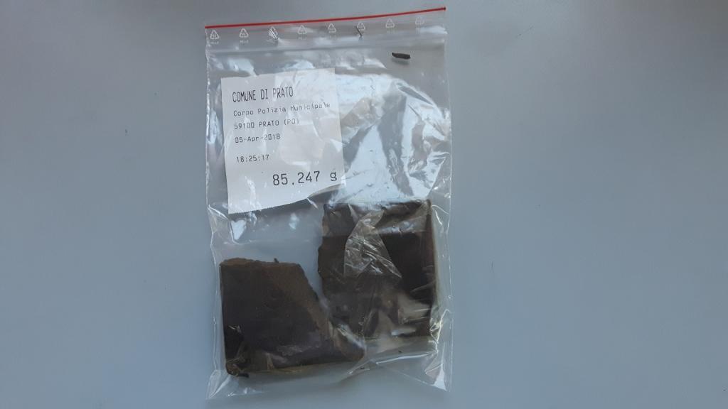 I panetti di hashish trovati dai cani antidroga nel giardino di via della Pace