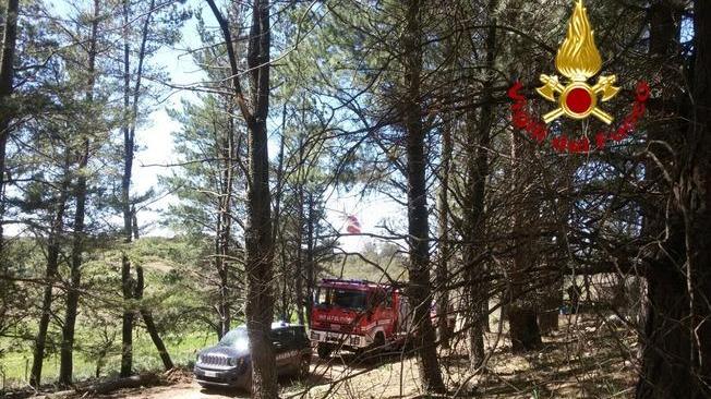 Operaio muore schiacciato da un albero nelle campagne di Gadoni