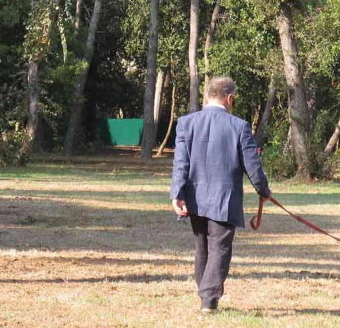 L’accordo con Reset per vigilare i parchi poi più niente