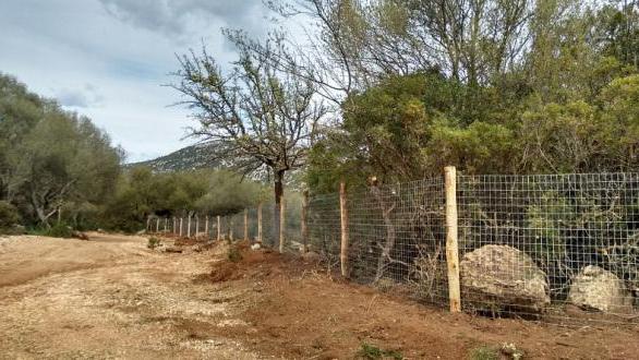Polemica a Baunei sulla recinzione delle terre civiche