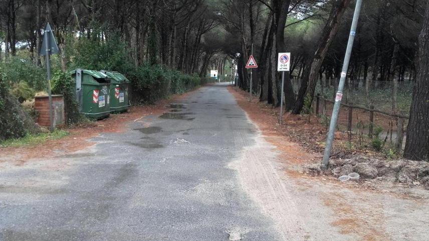 Zero pulizia e alberi caduti Pietrabianca è abbandonata