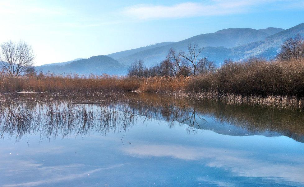 Visita guidata all’Oasi Bosco del Bottaccio