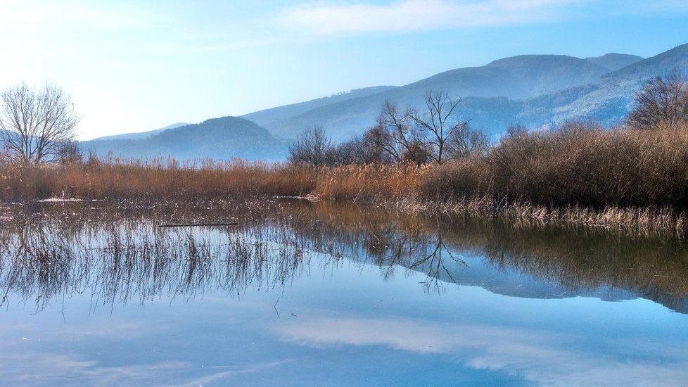 Visita guidata all’Oasi Bosco del Bottaccio