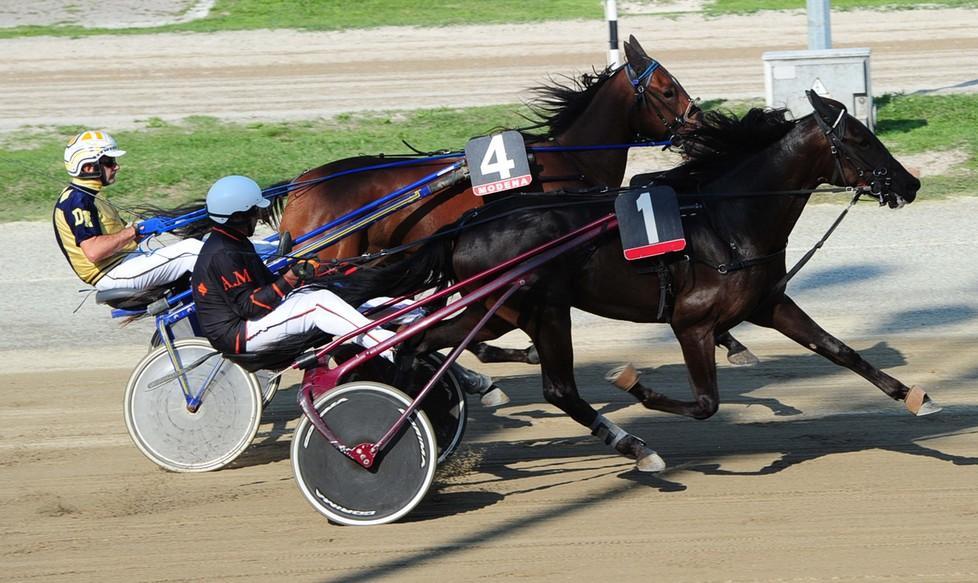 Premio Piemonte: Very Good Zs la star 