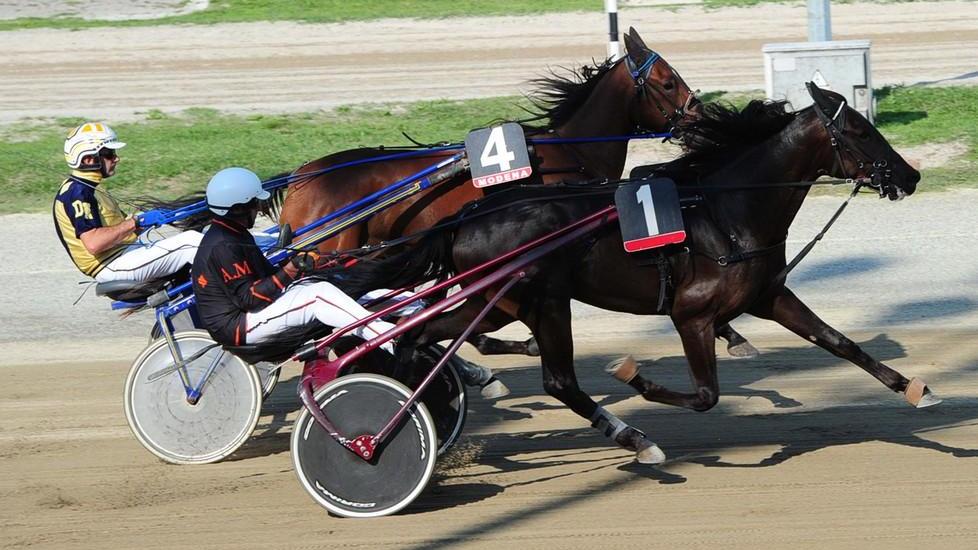 Premio Piemonte: Very Good Zs la star