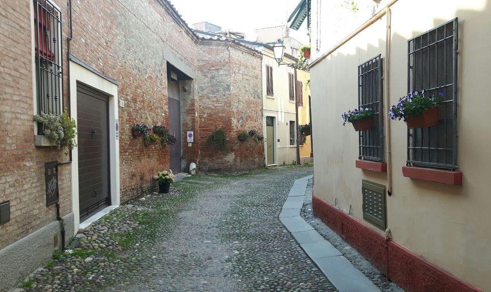 Fiori alle finestre in via Zemola
