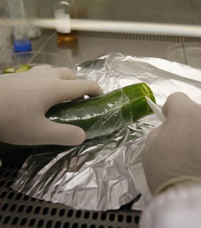 Per il Ministero bene cibi per bambini, olio e vino