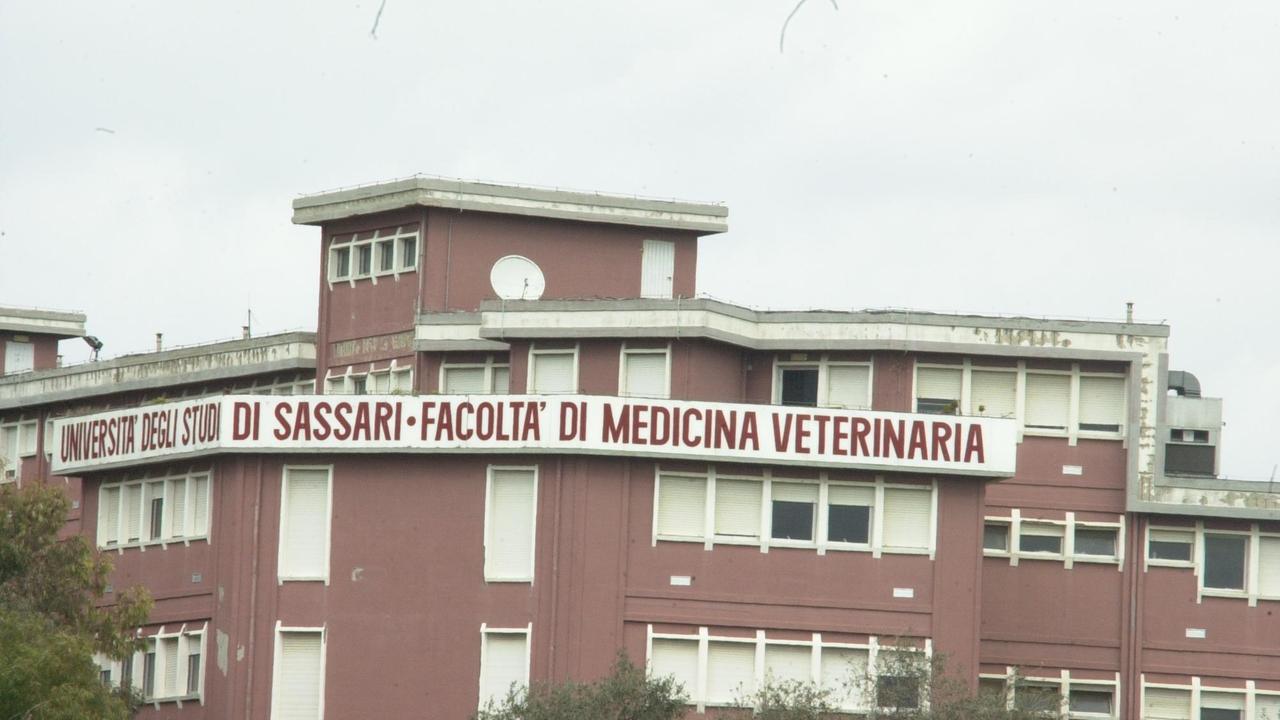 La facoltà di Veterinaria di Sassari