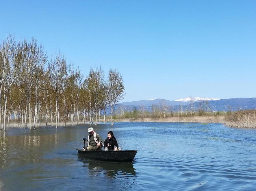 Padule, varo dei barchini lungo la Francigena 