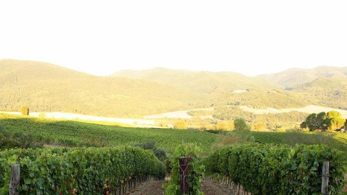 Tenuta di Canneto qui lo spumante si fa col sangiovese