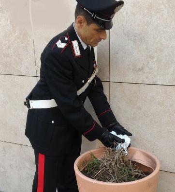 Cocaina nascosta nel vaso Divieto di accesso in Toscana 