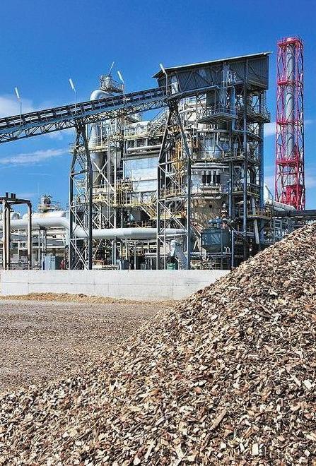 «Inceneritore, soluzioni per chi ha perso il lavoro» 