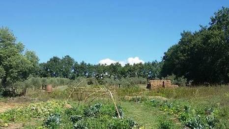 Agricoltura e didattica sulla terra prima incolta