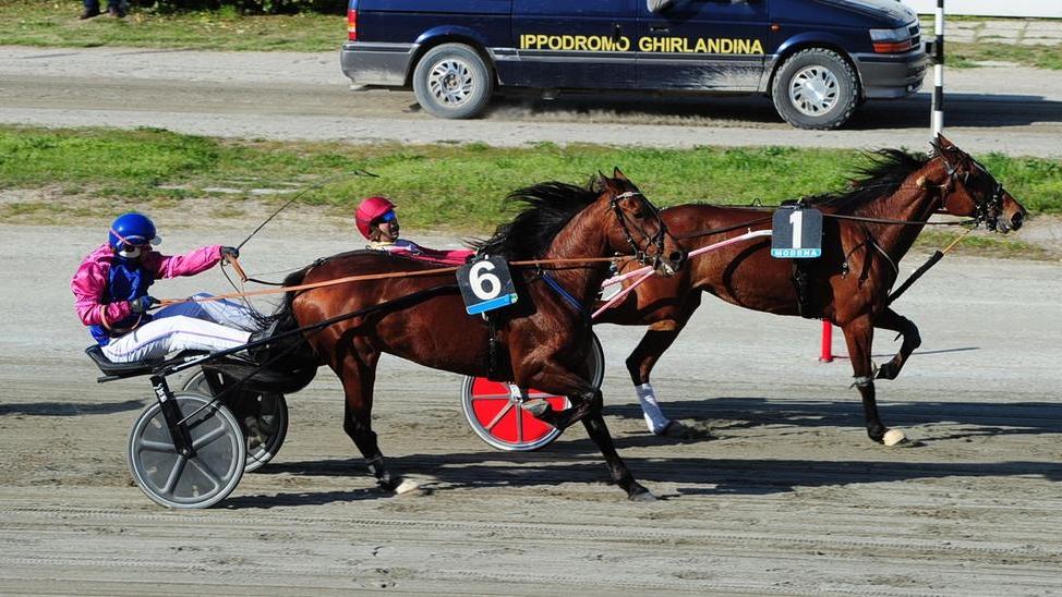Very Good Zs vince al Ghirlandina la prima riunione della stagione