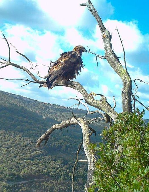 Muros, tra siti archeologici e il sogno di accogliere Ikea 