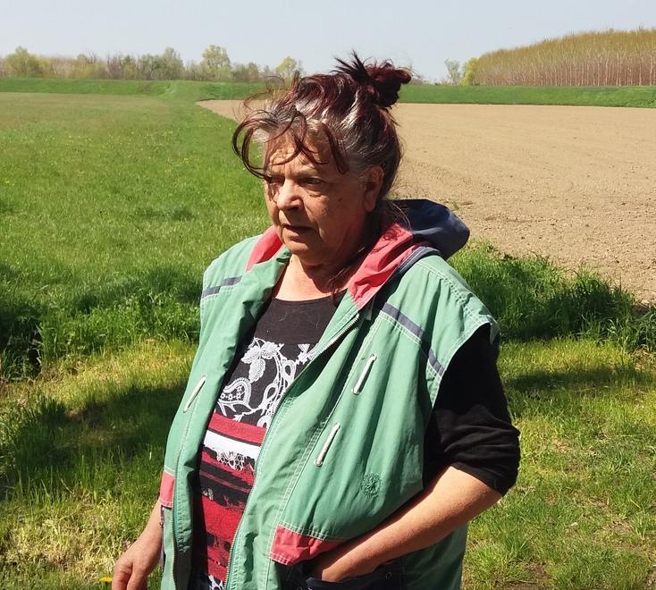 Brescello, testa di capriolo mozzata a casa dell’animalista 