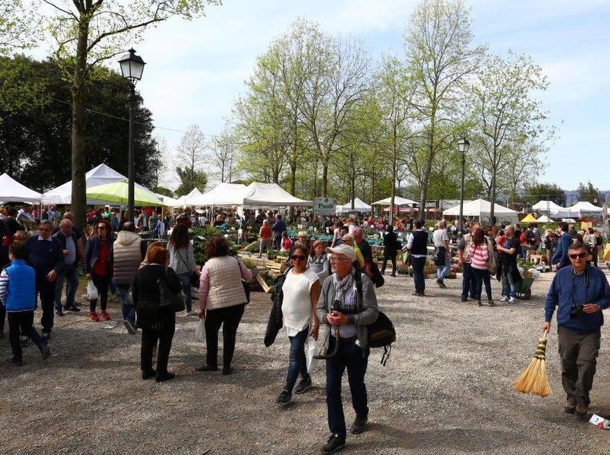 Tutti pazzi per VerdeMura alla mostra 18.900 ingressi