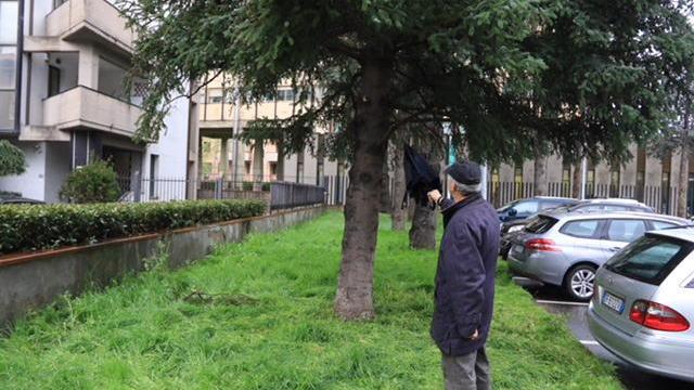 L'albero al quale è stato trovato impiccato l'uomo di 43 anni (foto Sproviero/Batavia)
