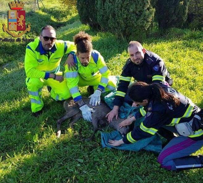 Il cucciolo con i poliziotti e gli operatori della Società autostrade