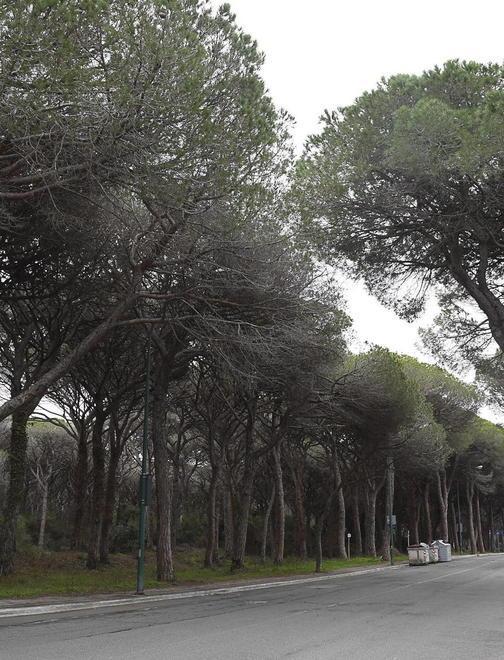 “Diamoci un taglio” L’antincendio entra nelle scuole 