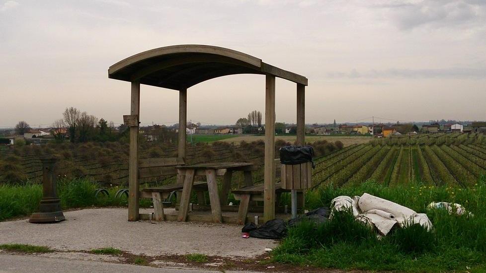 Spunta una discarica sull’ argine del Po