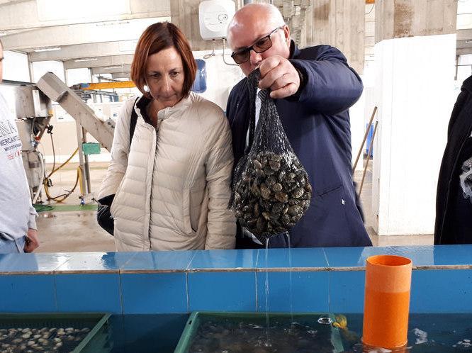  L’Ue: l’isola è sulla buona strada 