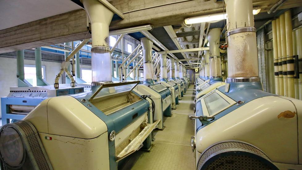 Modena. Viaggio dentro ai Molini anima del grano modenese 