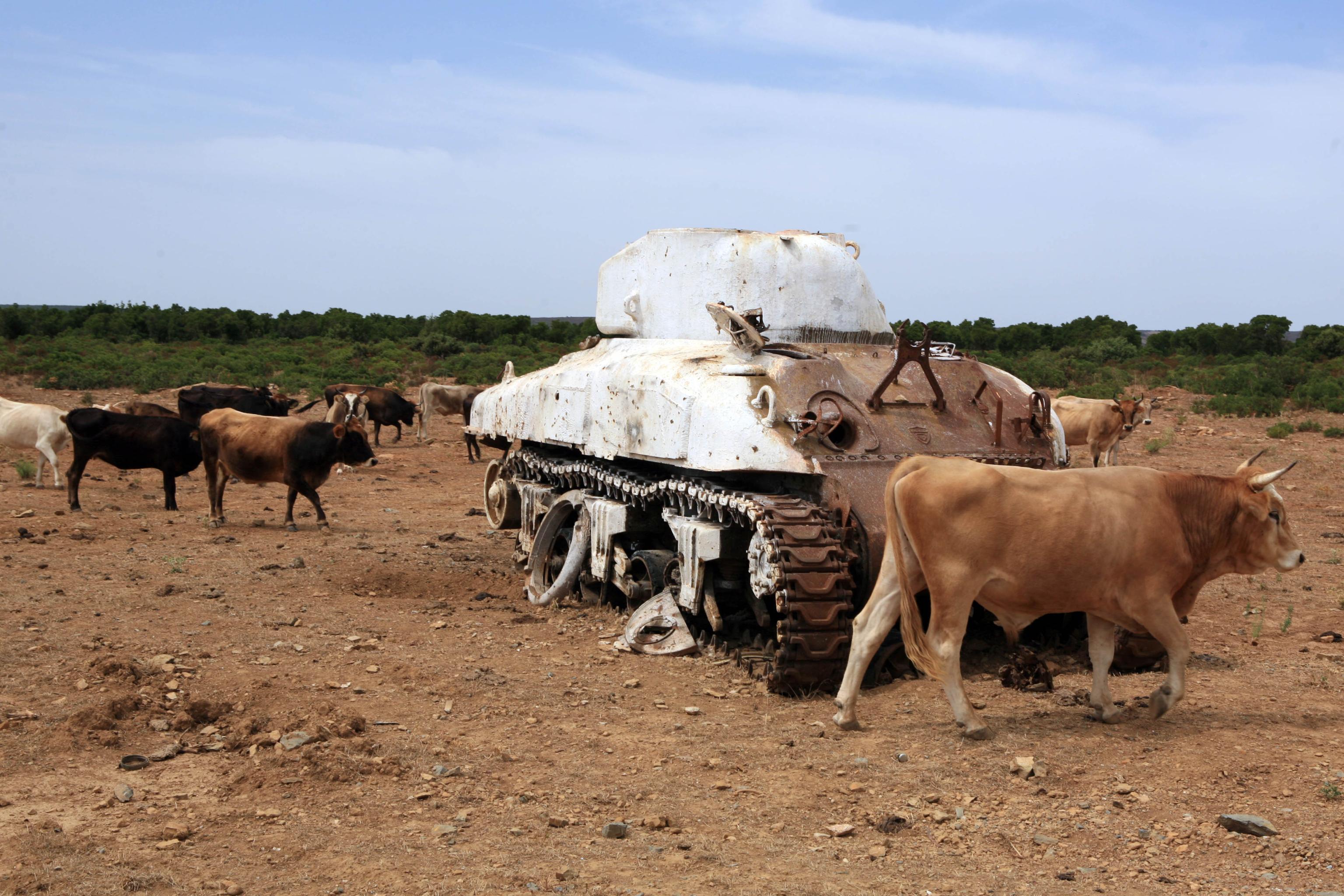 Il poligono di Quirra, immagine di repertorio