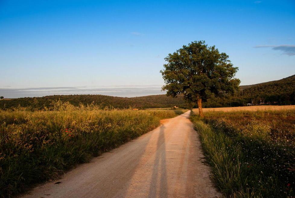Mostre e passeggiate sulla via Francigena