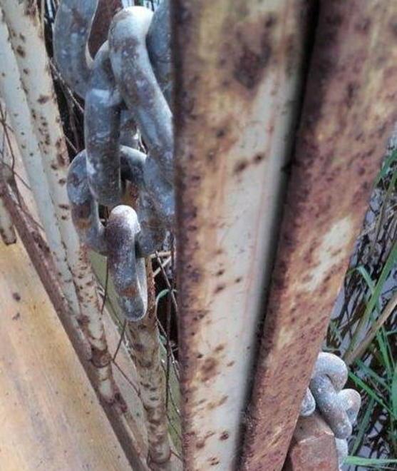 Furti ai danni dei pescatori: confronto con il Parco
