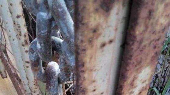 Furti ai danni dei pescatori: confronto con il Parco