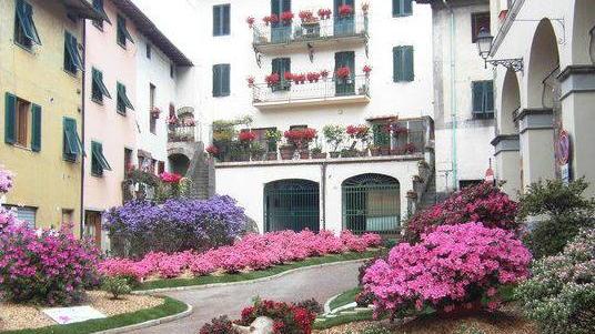Torna la Festa dell’azalea