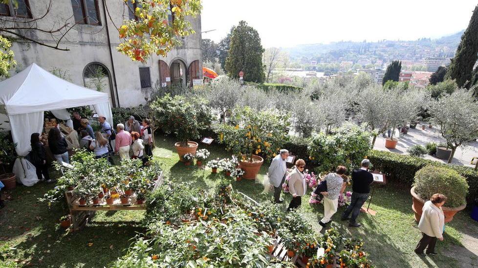 Naturalitas, numeri record All’Anzilotti 100 espositori