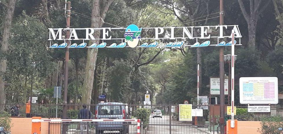 Operaio muore schiacciato dal bobcat 